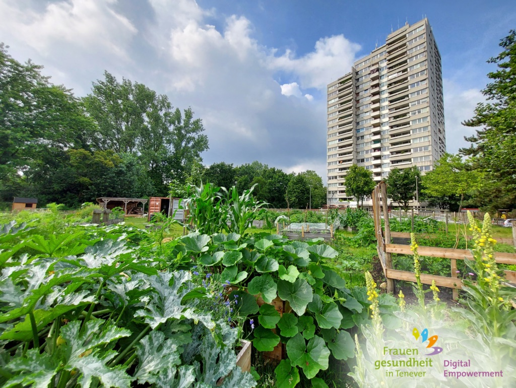 Querbeet hochbeete juli21 1024x770