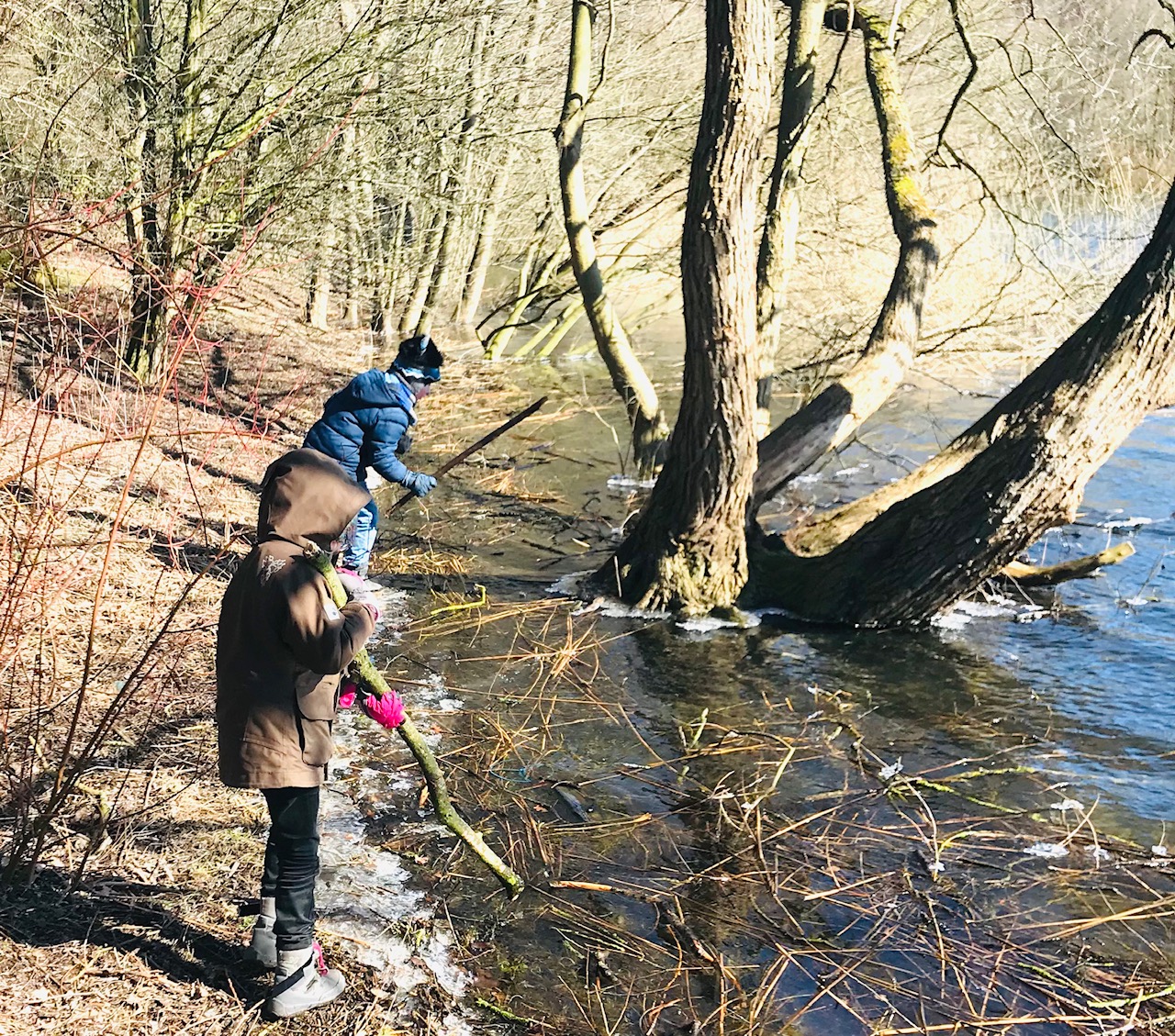 Familiennetz bremen bachherbst